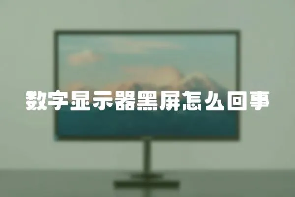 數字顯示器黑屏怎么回事