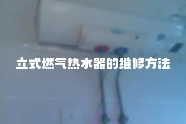 立式燃氣熱水器的維修方法