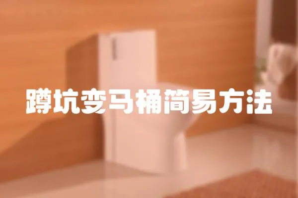 蹲坑變馬桶簡易方法