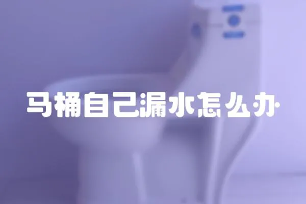 馬桶自己漏水怎么辦