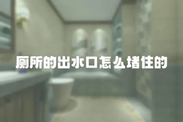 廁所的出水口怎么堵住的