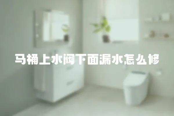 馬桶上水閥下面漏水怎么修