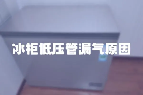冰柜低壓管漏氣原因