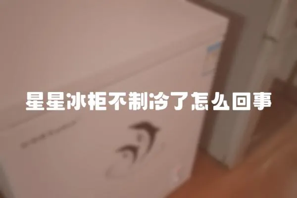 星星冰柜不制冷了怎么回事