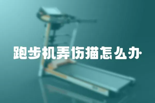 跑步機(jī)弄傷貓?jiān)趺崔k