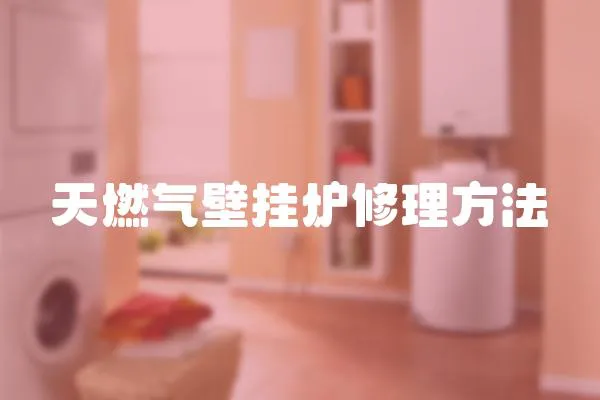 天燃?xì)獗趻鞝t修理方法