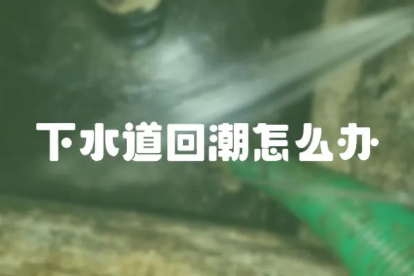 下水道回潮怎么辦