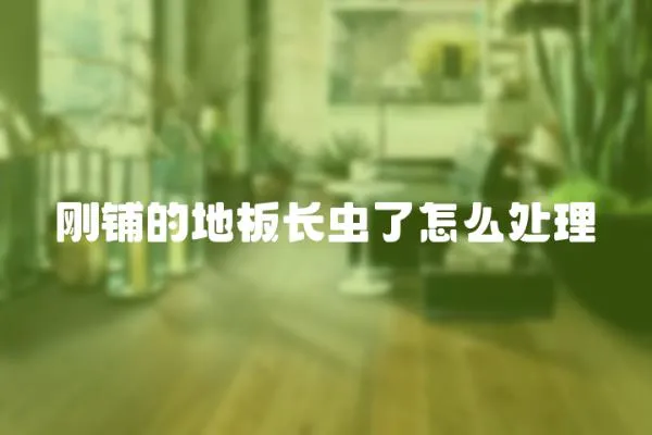 剛鋪的地板長蟲了怎么處理
