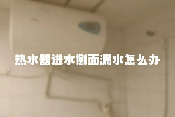 熱水器進水側面漏水怎么辦