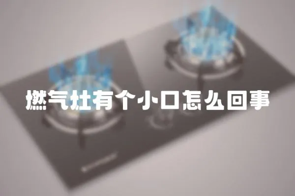 燃?xì)庠钣袀€(gè)小口怎么回事