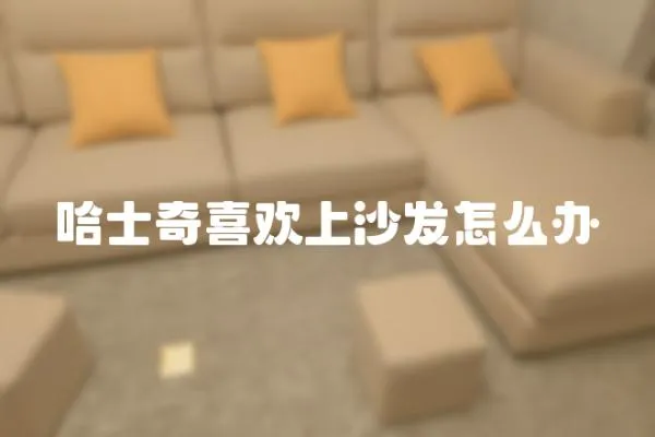 哈士奇喜歡上沙發(fā)怎么辦