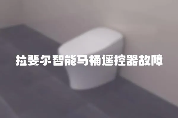 拉斐爾智能馬桶遙控器故障