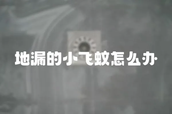 地漏的小飛蚊怎么辦