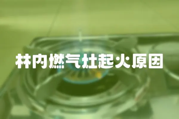 林內燃氣灶起火原因