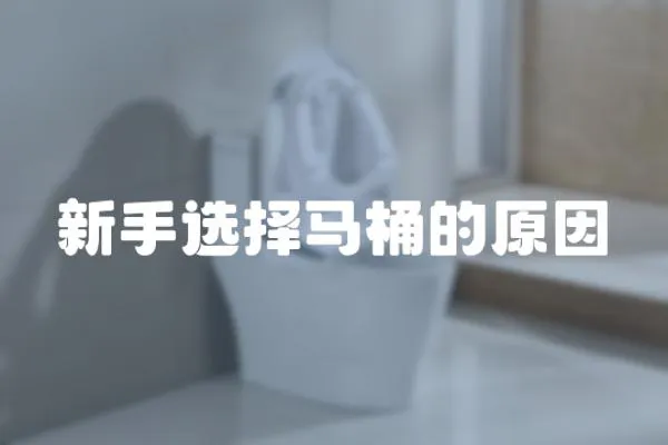 新手選擇馬桶的原因