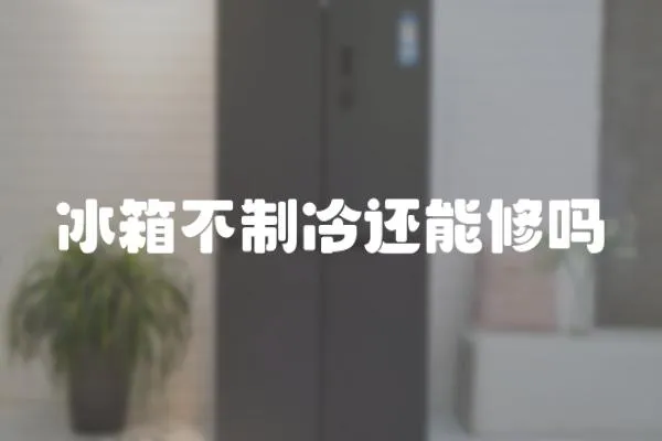 冰箱不制冷還能修嗎