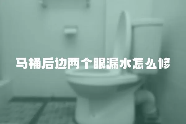 马桶后边两个眼漏水怎么修