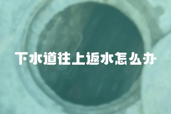 下水道往上返水怎么辦