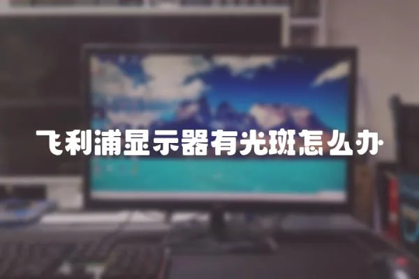 飛利浦顯示器有光斑怎么辦