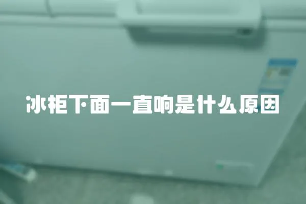 冰柜下面一直響是什么原因