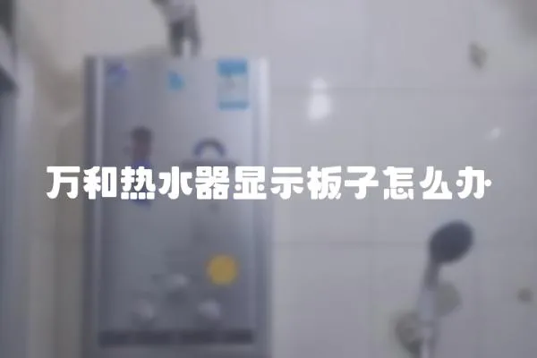萬和熱水器顯示板子怎么辦