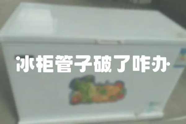 冰柜管子破了咋辦