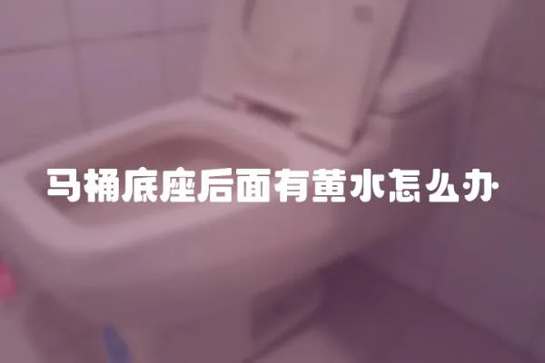 馬桶底座后面有黃水怎么辦