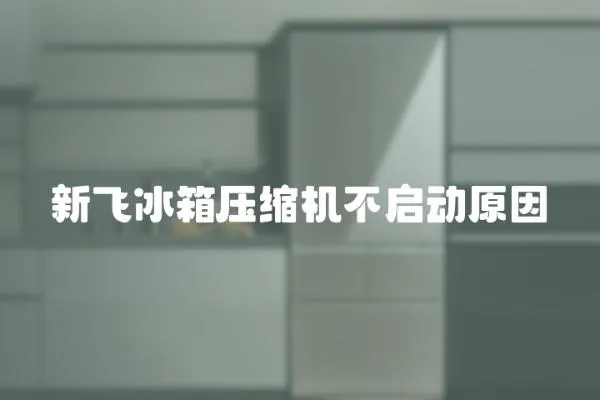 新飛冰箱壓縮機(jī)不啟動(dòng)原因