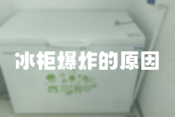 冰柜爆炸的原因