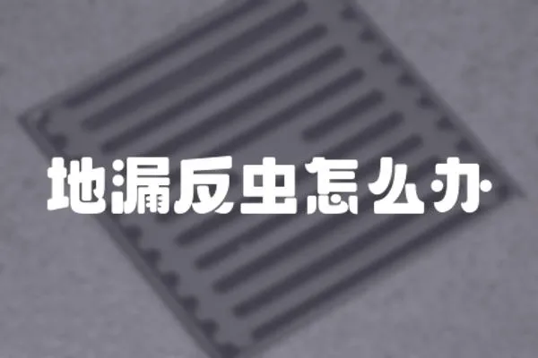 地漏反蟲怎么辦