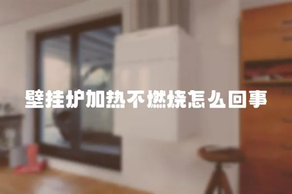 壁掛爐加熱不燃燒怎么回事