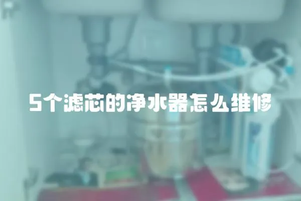 5個濾芯的凈水器怎么維修