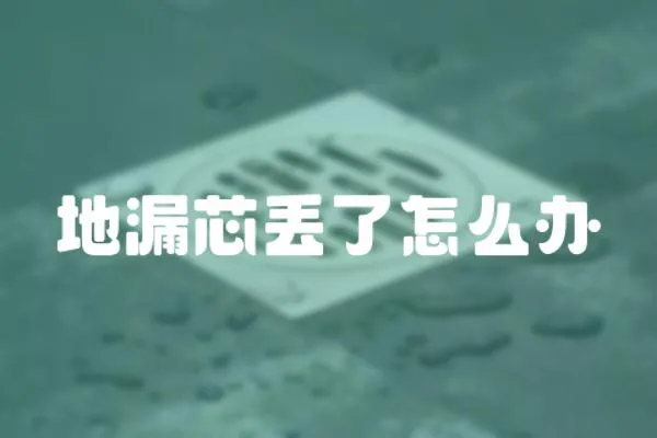 地漏芯丟了怎么辦