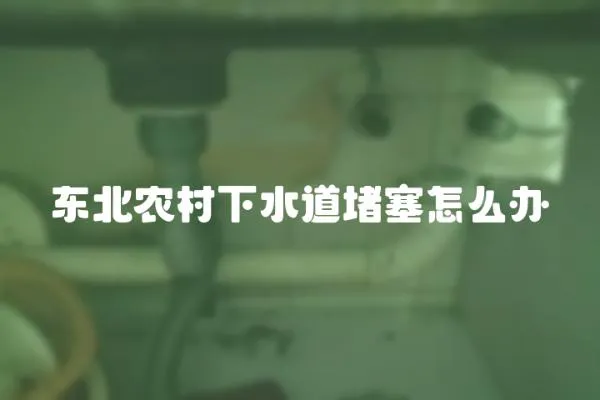 東北農村下水道堵塞怎么辦