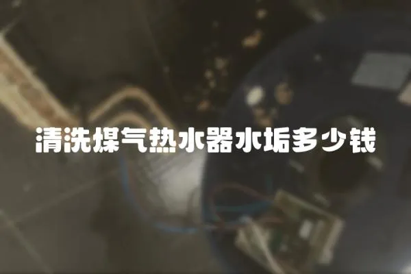 清洗煤氣熱水器水垢多少錢