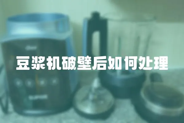 豆漿機破壁后如何處理