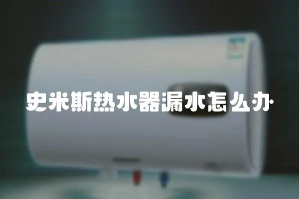 史米斯熱水器漏水怎么辦