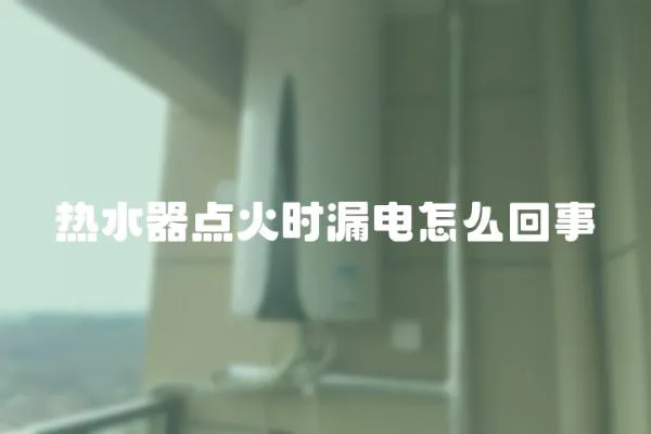 熱水器點(diǎn)火時(shí)漏電怎么回事