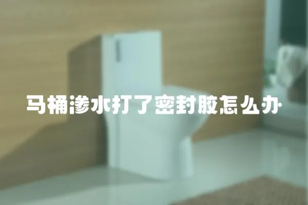 馬桶滲水打了密封膠怎么辦