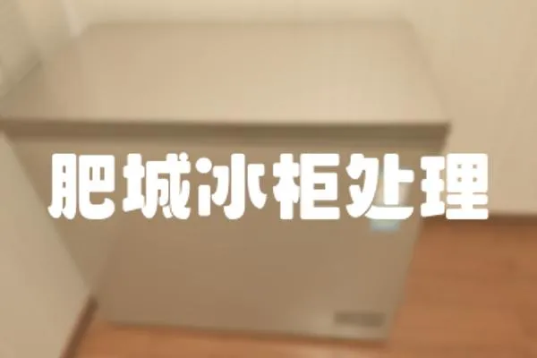 肥城冰柜處理