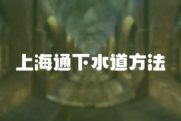 上海通下水道方法