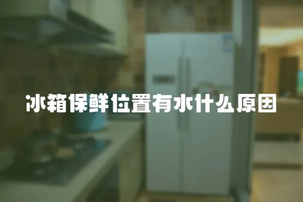 冰箱保鮮位置有水什么原因