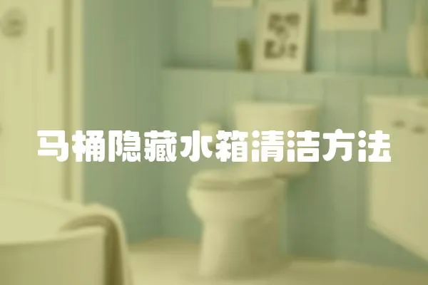 馬桶隱藏水箱清潔方法