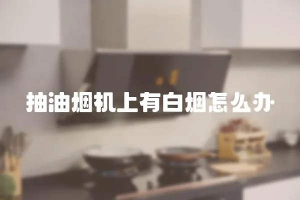 抽油煙機上有白煙怎么辦