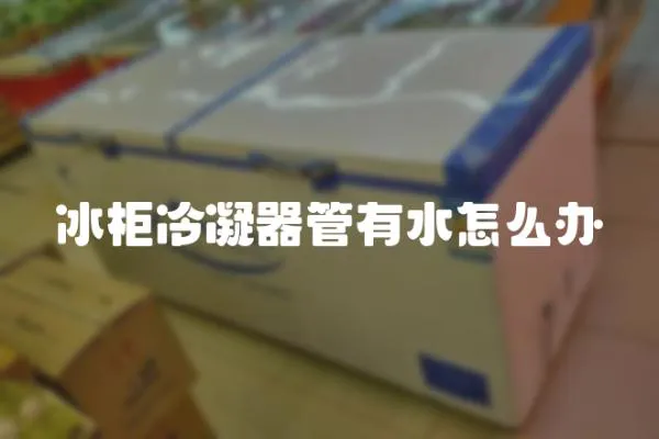 冰柜冷凝器管有水怎么辦