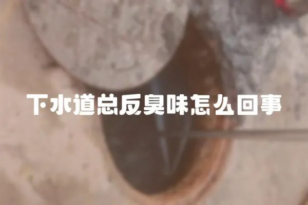 下水道總反臭味怎么回事