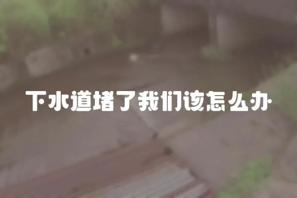 下水道堵了我們該怎么辦