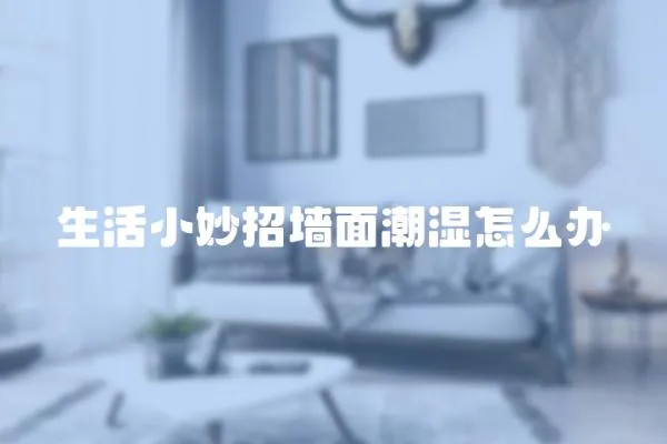 生活小妙招墻面潮濕怎么辦