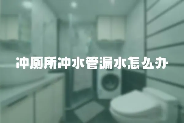 沖廁所沖水管漏水怎么辦