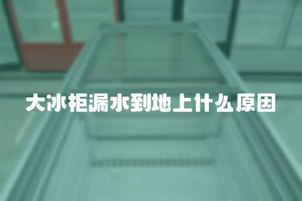 大冰柜漏水到地上什么原因